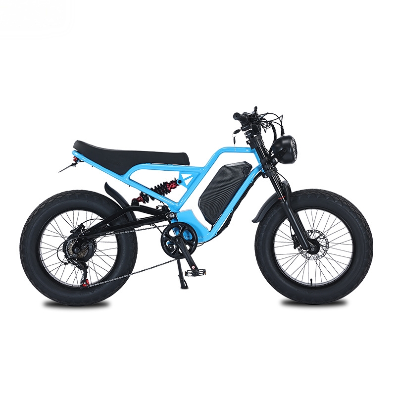 RRE QQA 13Ah lithium battery 4 - 48V 1500W Rear Hub Motor With Battery review and price