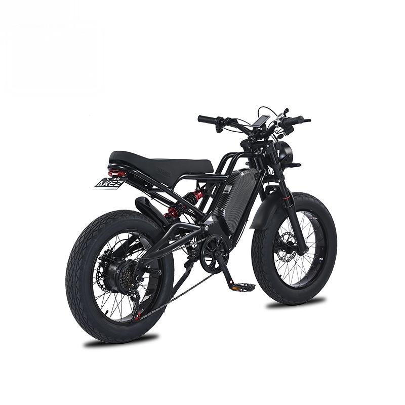 RRE QQA 13Ah lithium battery 4 - 48V 1500W Rear Hub Motor With Battery review and price